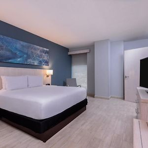 Suite con Cama King Adaptada para Discapacitados